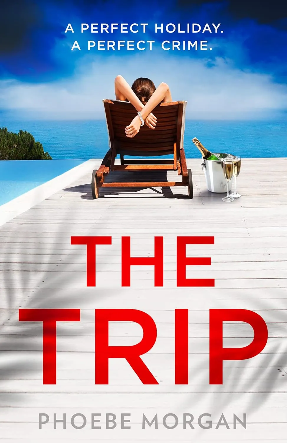 The Trip book cover