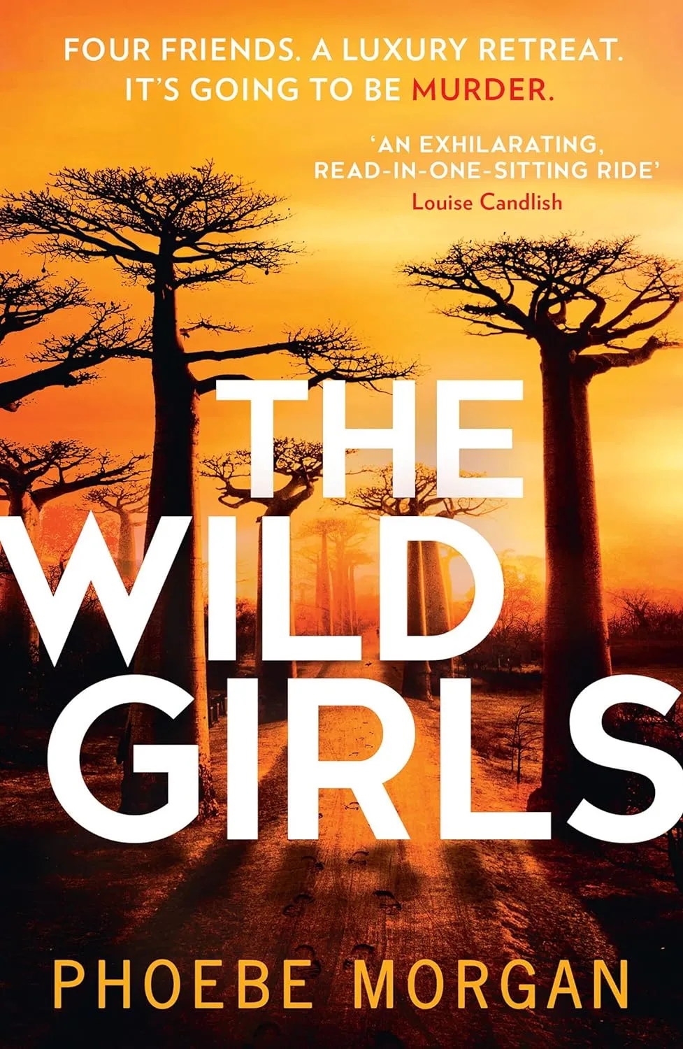 The Wild Girls book cover